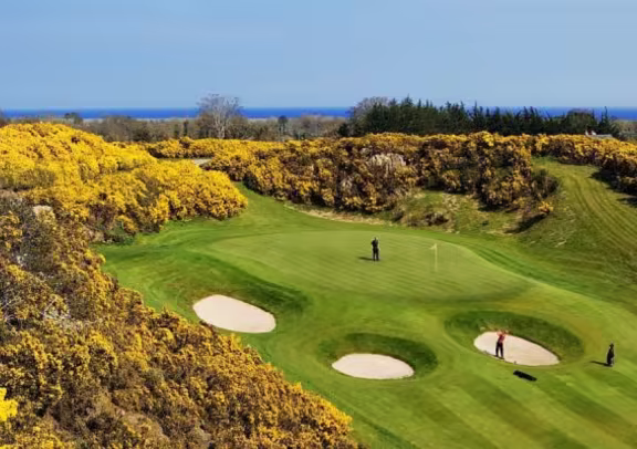 Image Druids Glen Golf Club - Parcours de Druids Heath